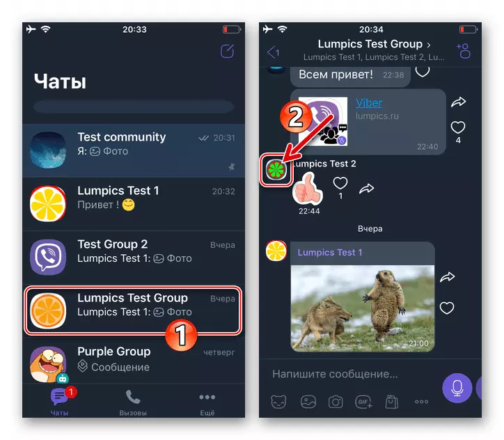 Viber для iOS переключается в групповой чат, вызывает экран с информацией о любом участнике