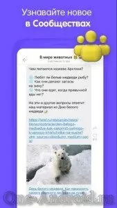 viber-screenshot-3-one-android.ru