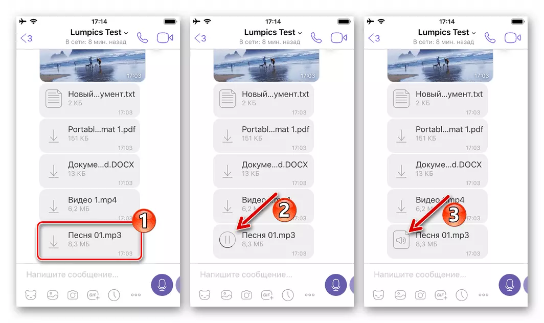 Viber для iOS: Загрузите файл из мессенджера в память iPhone
