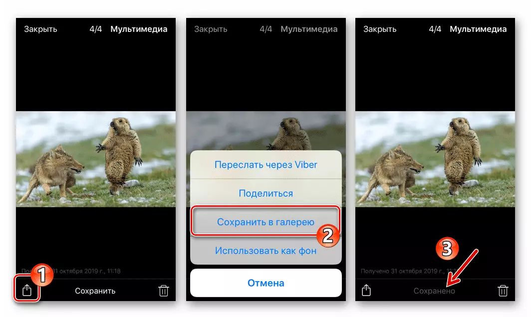 Viber для iPhone: копируйте фотографии из мессенджера через меню «Поделиться
