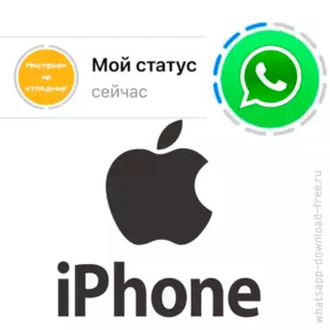 Статусное фото в логотипе WhatsApp Iphone