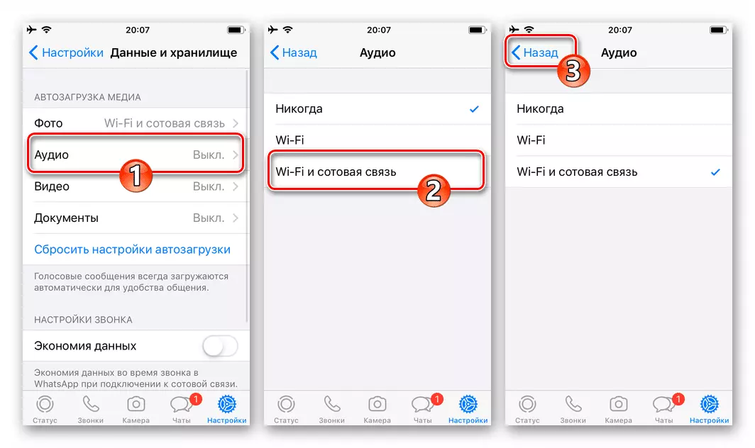 Активация WhatsApp для iPhone с загрузкой аудио через Wi-Fi и сотовые сети передачи данных