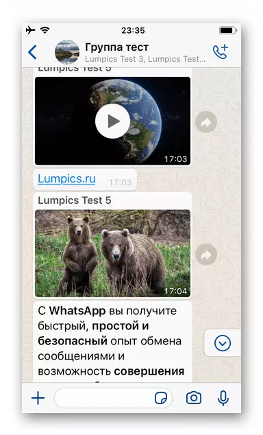 WhatsApp для iPhone - сообщение с содержанием в чате, которое будет отправлено вне мессенджера