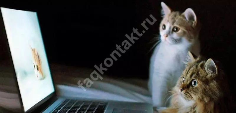 Как взломать чужую страницу Вконтакте и получить к ней доступ?