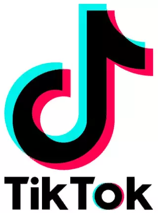 Логотип Tik Tok 2018 2019