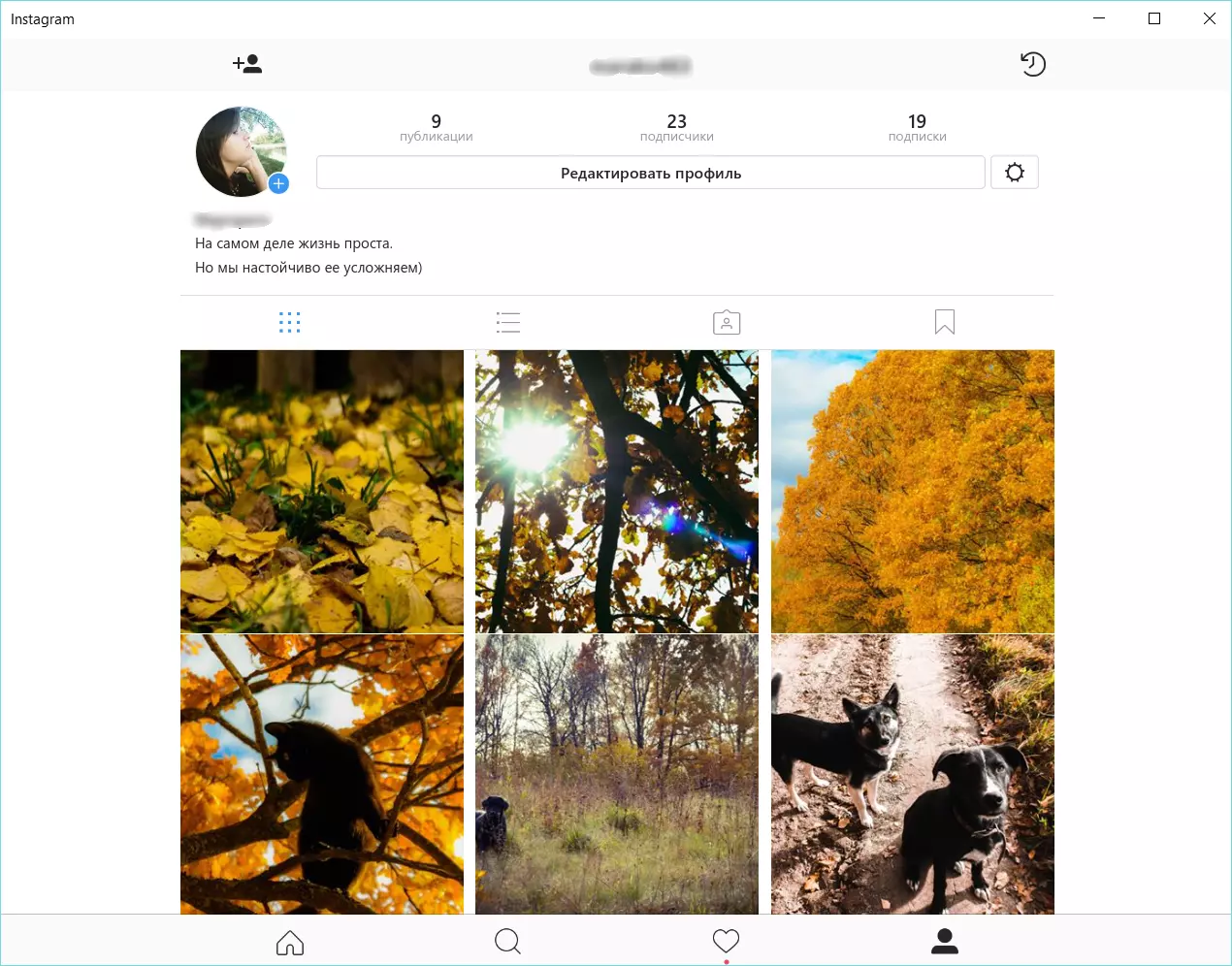 Интерфейс Instagram для Windows 10