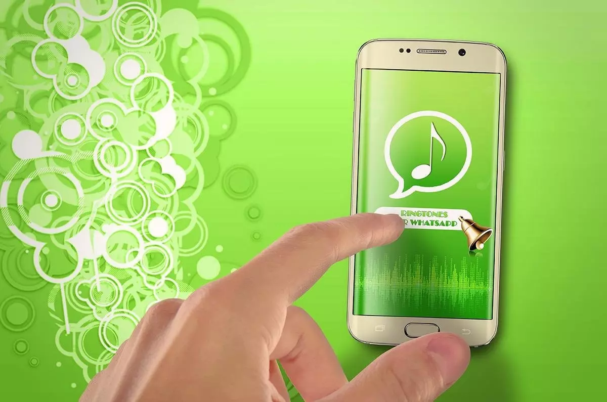 Рингтон в теме WhatsApp: как установить новый рингтон