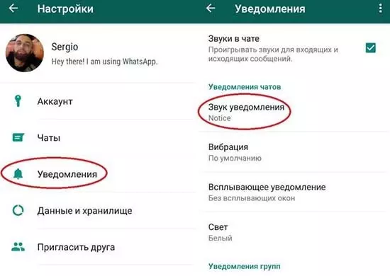 Почему в WhatsApp нет звука и как его включить