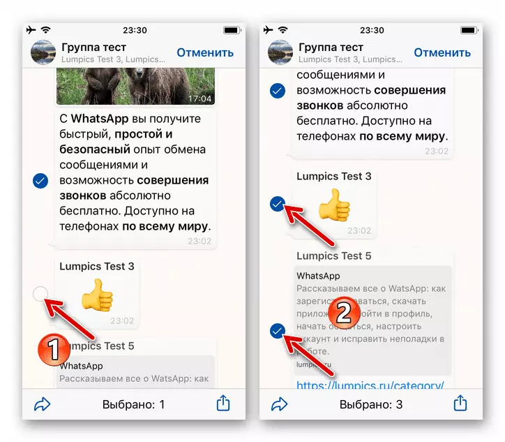 WhatsApp для iPhone выбирает несколько сообщений чата для пересылки в другой разговор