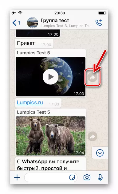 Элемент интерфейса WhatsApp для iPhone, вызывающий функцию пересылки на экране чата