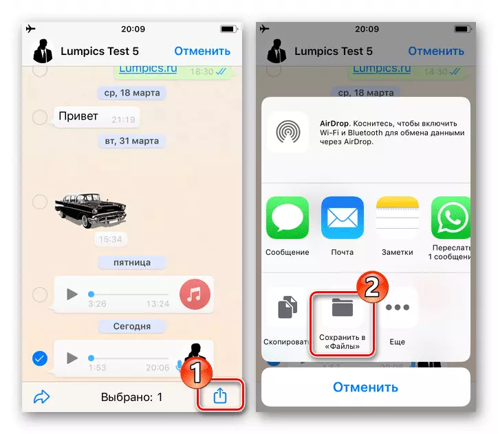 WhatsApp для iOS вызывает меню «Передача», применимое к аудиозаписи из чата, пункт «Сохранить в файл