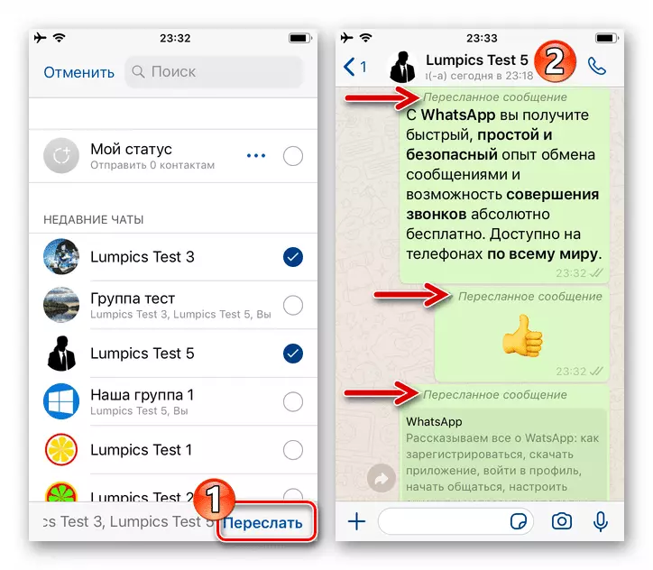 WhatsApp для iPhone завершение пересылки сообщений из одного разговора в другой