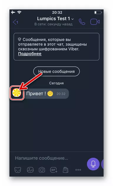 Viber для iOS фото собеседника в чате рядом с отправленным ему сообщением